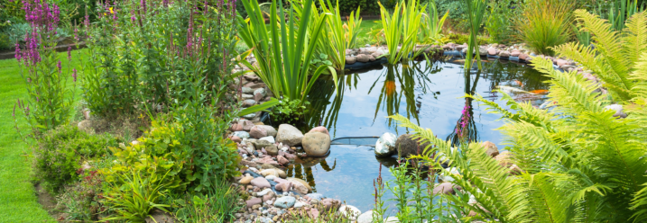 Garten mit Teich 
